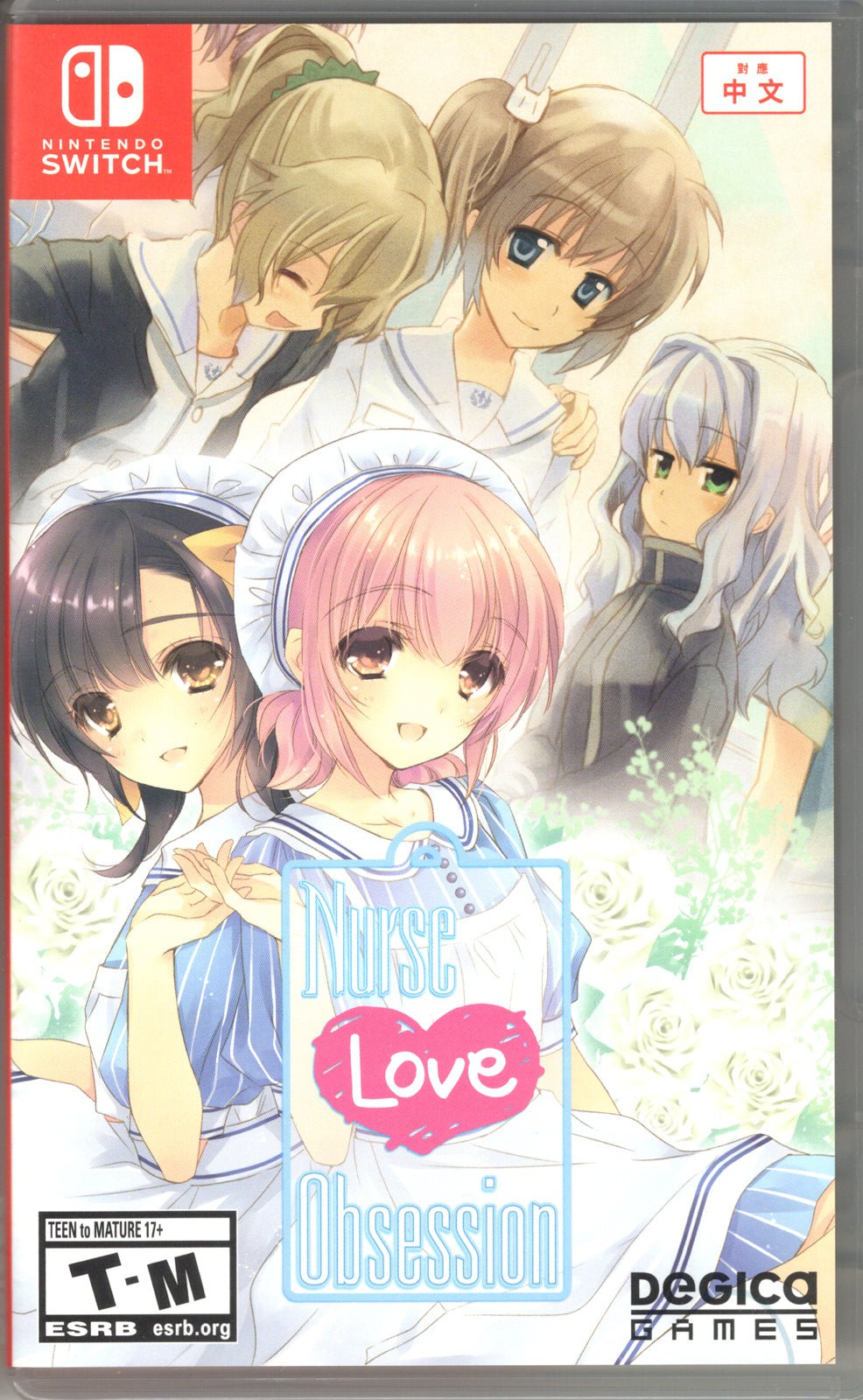 Nurse Love Obsession - BASCO GAMES