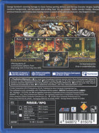 Dragon's Crown - BASCO GAMES